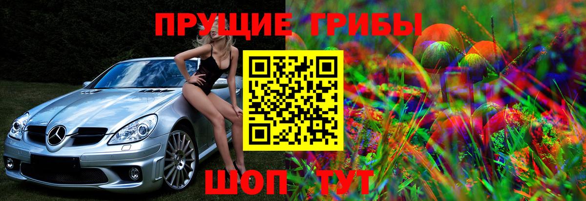 Галлюциногенные грибы мицелий  Вход с VPN  Галлюциногенные грибы Psilocybe  Солнечногорск 